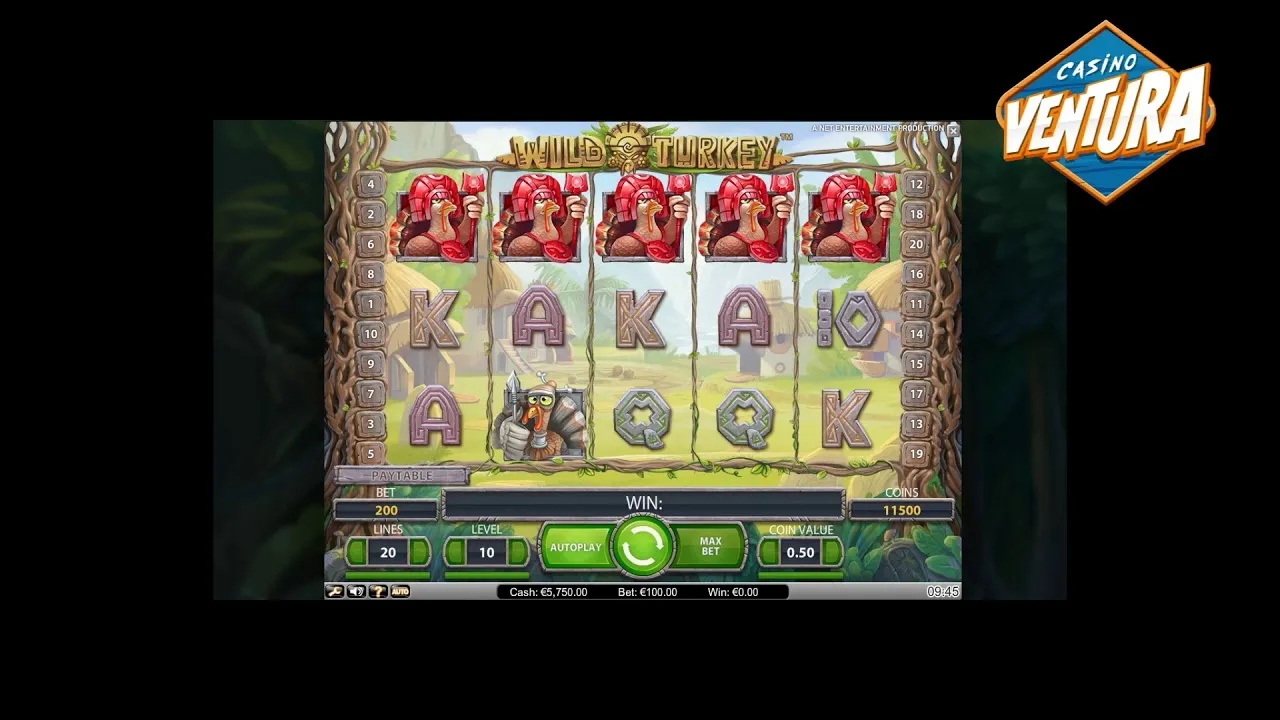 Wild Turkey Free Spins Big Win, 15x Multiplier