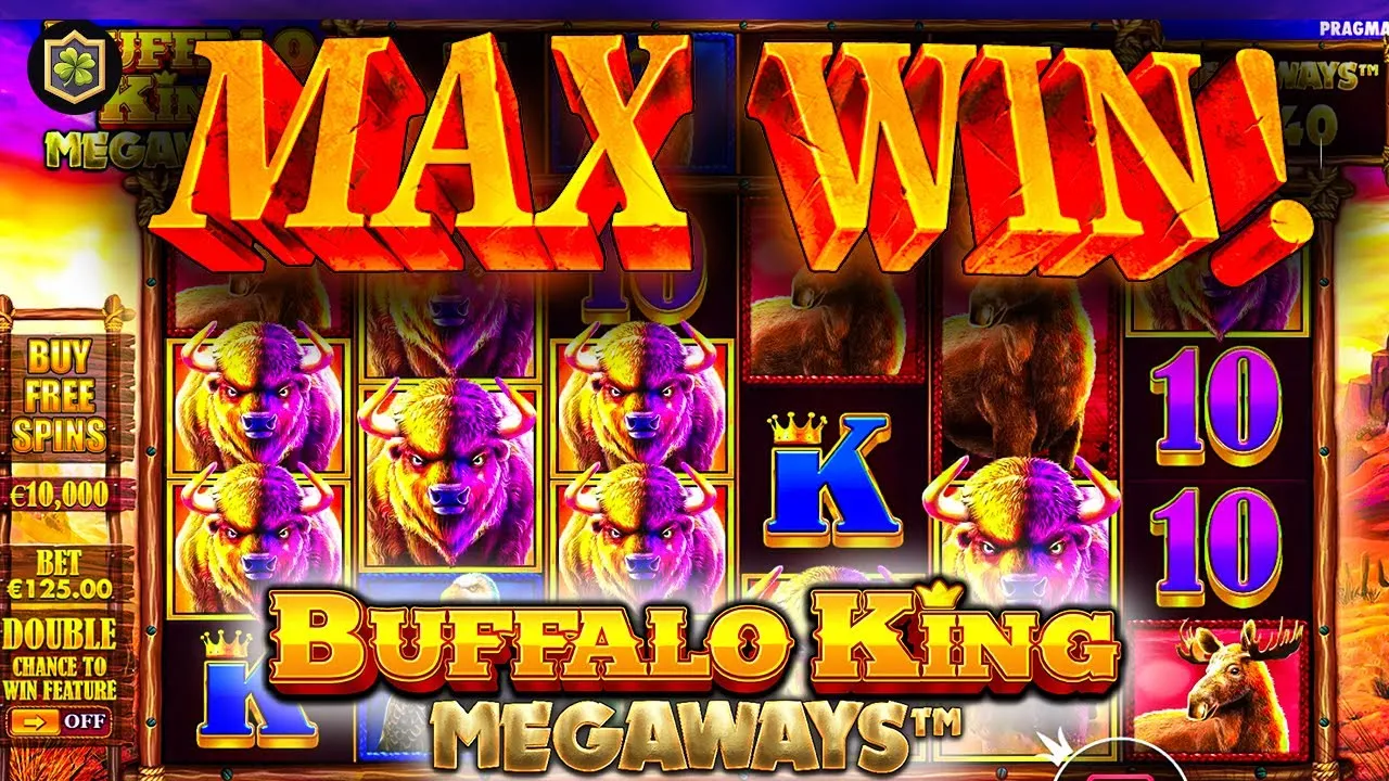 Buffalo King Megaways: Pragmatic Play - €5000 Win!