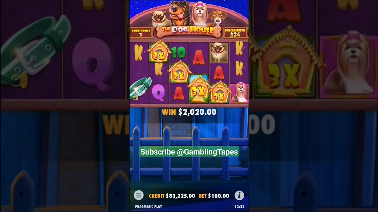 Dog House Megaways: 1193x MEGA Win During Free Spins!