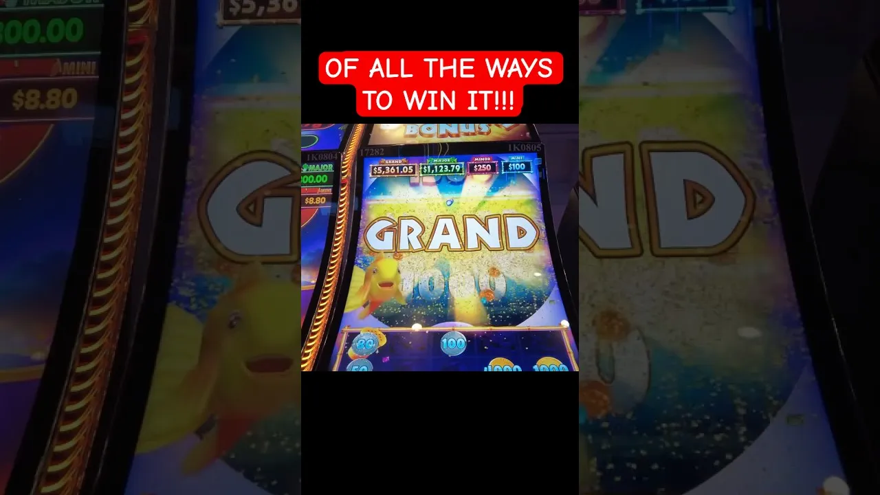 Dancing Drums 5361x Grand Jackpot: Land-Based Win
