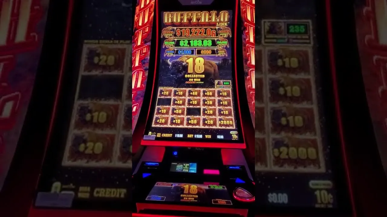 Buffalo Link Free Spins 240x Win 10 Bet Round