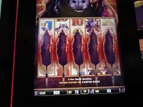 Buffalo Gold Revolution: Aristocrat Slot Free Games & Wins