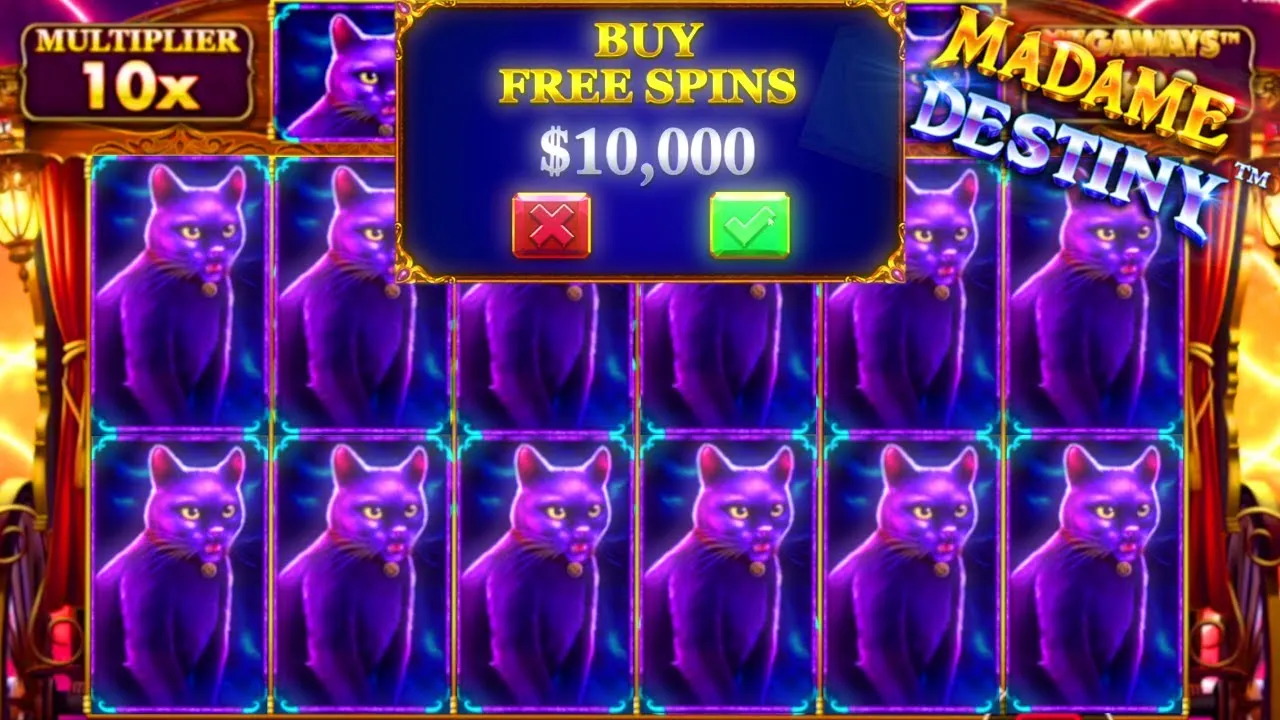Madame Destiny Megaways 1181x Win, Free Spins Round