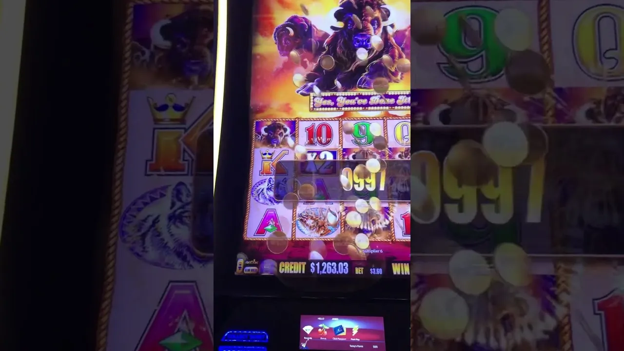 Buffalo Slot: HUGE Win on This Classic Aristocrat Game!