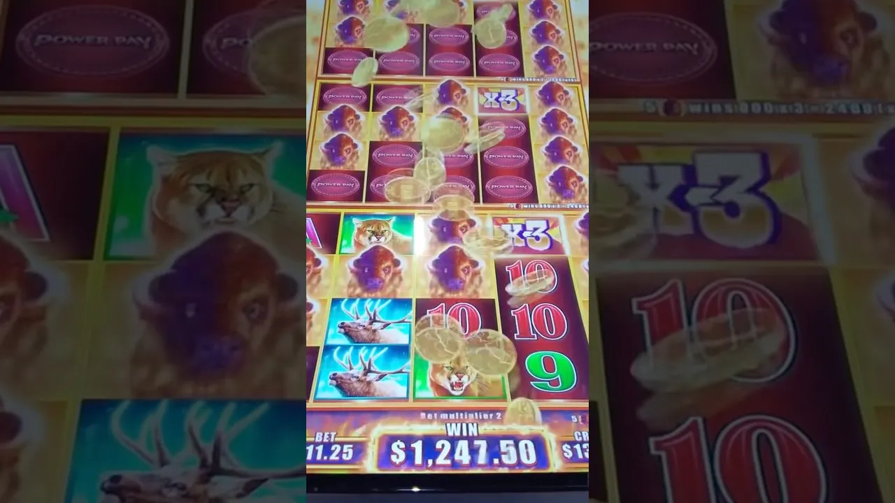 Buffalo Slot: Witness a HUGE Win on this Aristocrat Classic!
