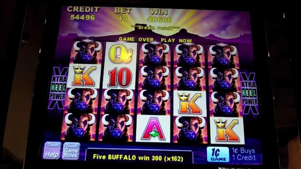Buffalo Slot: Huge Win on Aristocrat's Classic Game