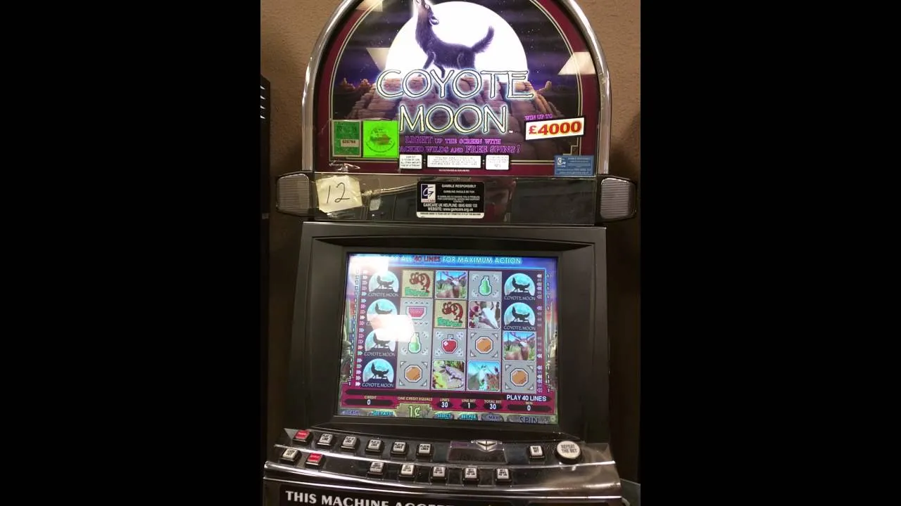 Coyote Moon Slot Loss: Watch a 0x Multiplier Round