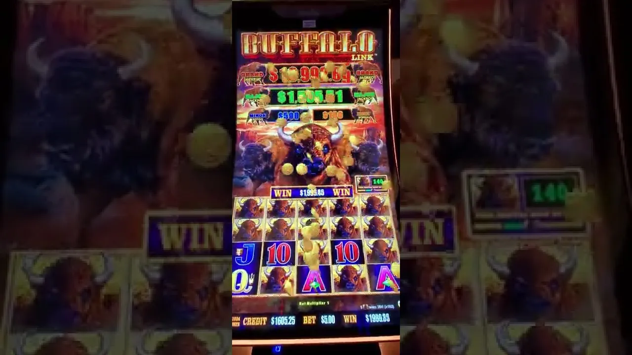 Buffalo Link Slot Machine 486x: Full Screen Buffalo