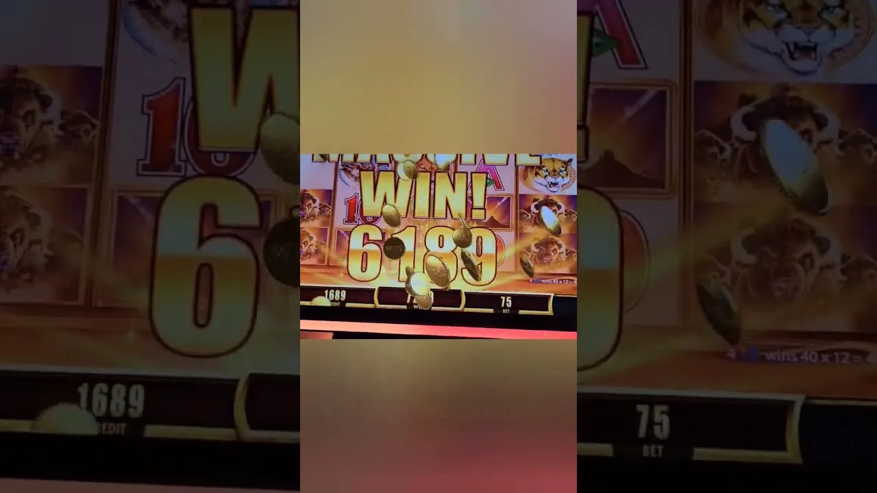 Buffalo Gold Revolution: HUGE 22240x Win on Casino Slots!