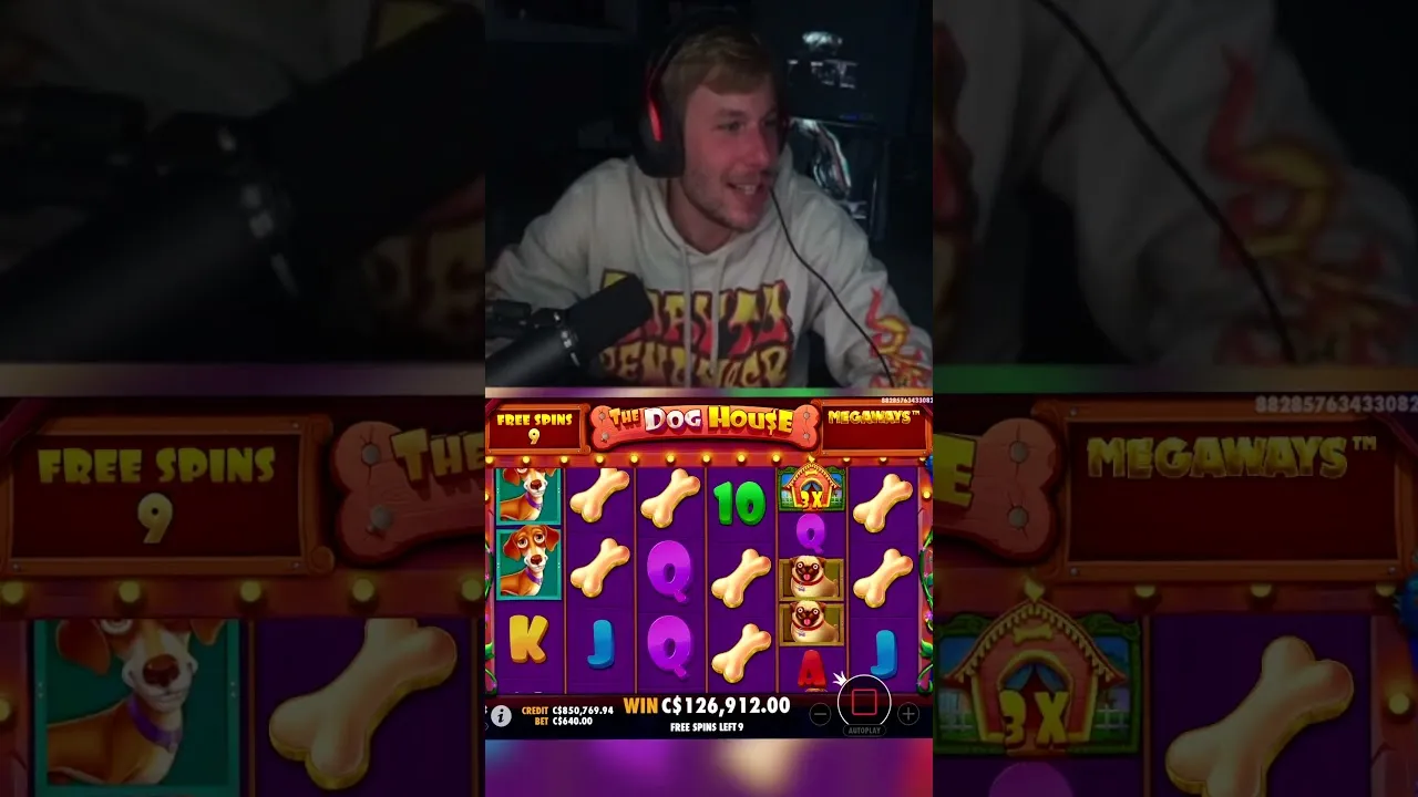 Dog House Megaways: Pragmatic Play - 217x Win with Wilds!