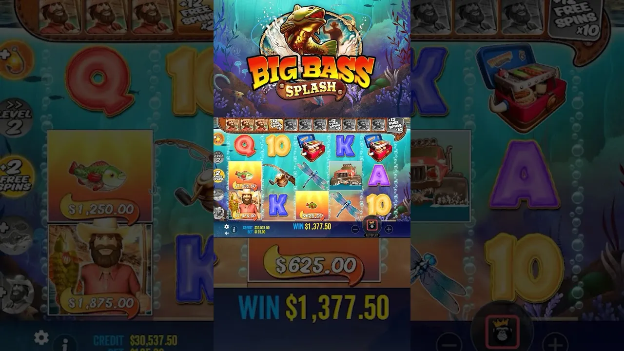 Big Bass Splash: $3250 Win During Free Spins Bonus!