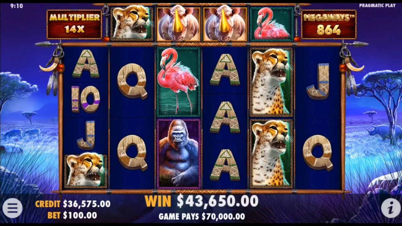 Great Rhino Megaways 1000x Big Win with Bonus Buy