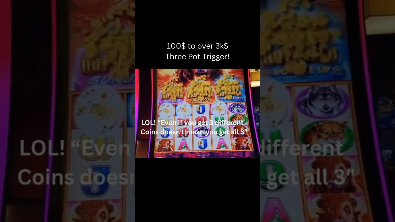 Buffalo Slot: Huge $3000+ Win During Bonus & Free Spins!