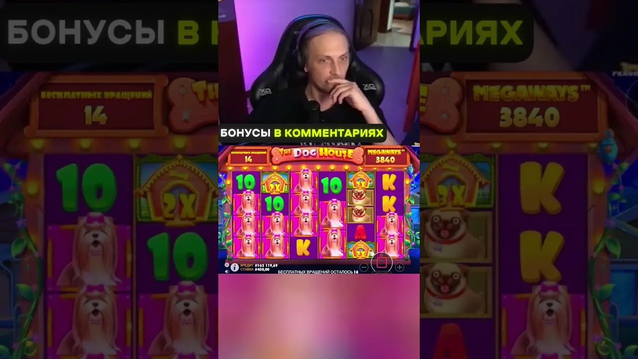 Dog House Megaways: HUGE 370x Win on Pragmatic Play!
