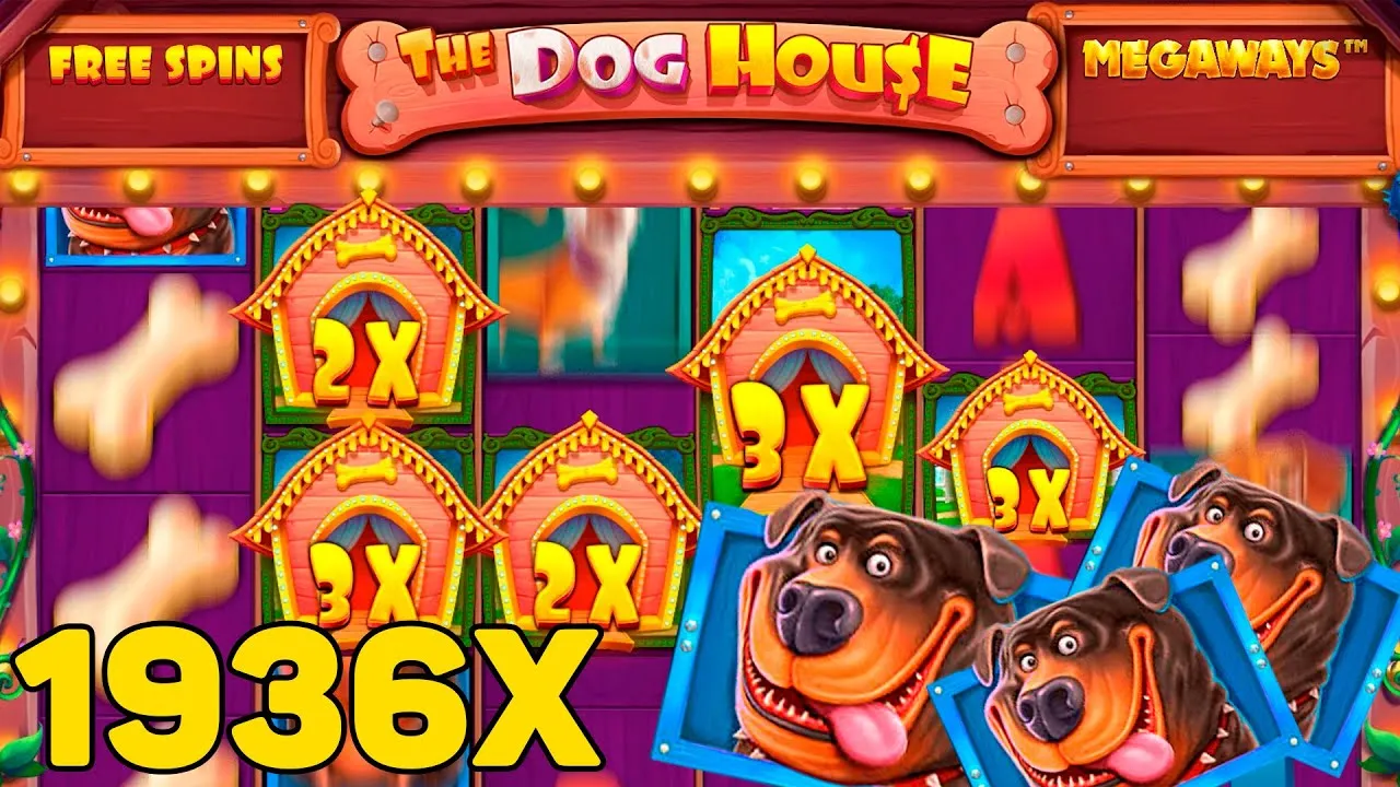 Dog House Megaways: HUGE 1936x Win During Free Spins!