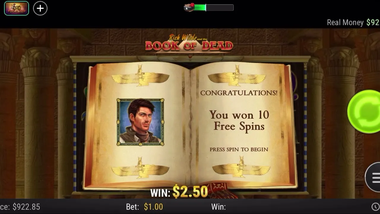 Book of Dead Slot: Massive 1120x Win on Play'n GO!