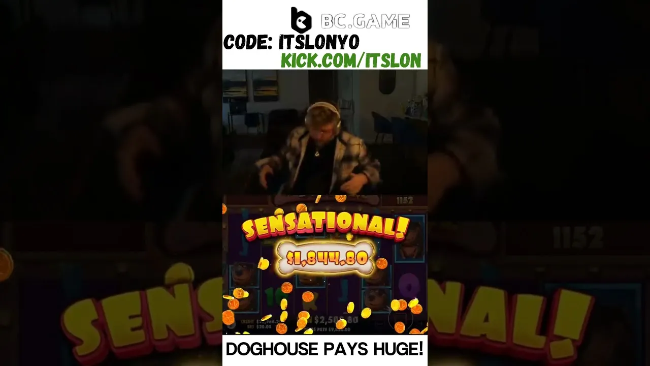 Dog House Slot: Streamer Wins Big - 525x Multiplier!