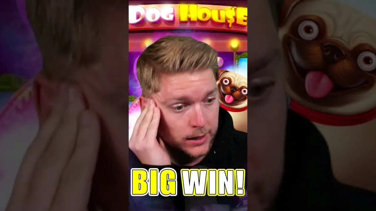 The Dog House Megaways: Huge Win on Pragmatic Play Slot!
