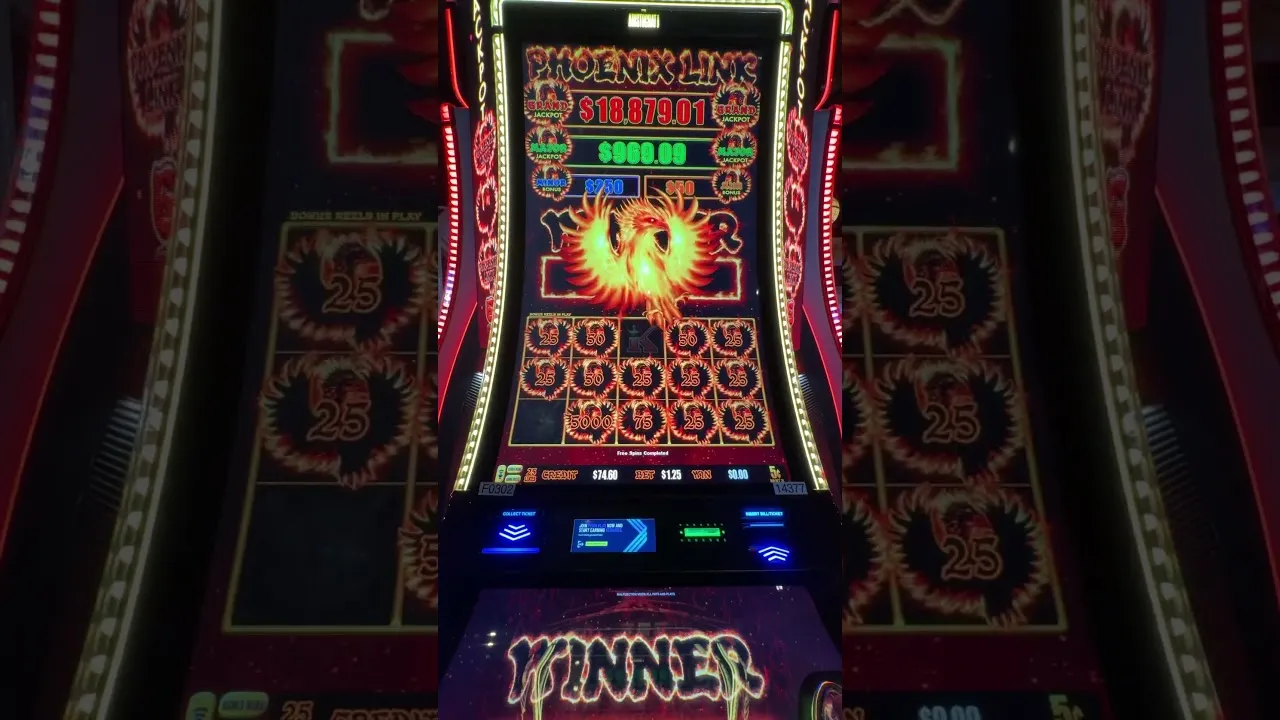 Phoenix Link slot win: 217x multiplier in action