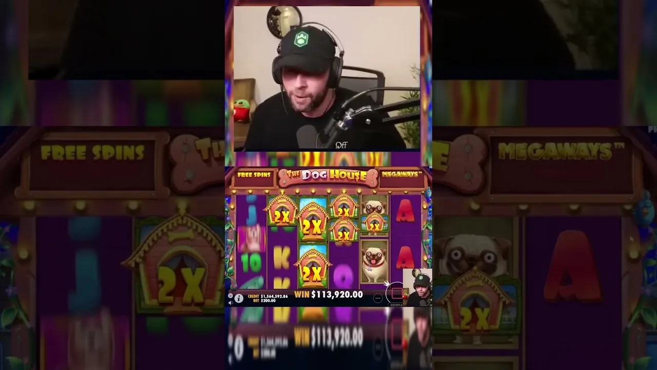 Dog House Megaways: $144K Win on Pragmatic Play Slot!
