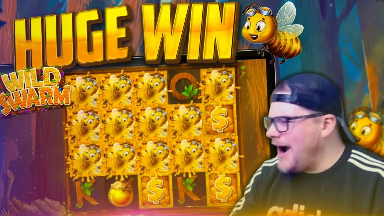 Wild Swarm: Huge 803x Win During Bonus Spins by Push Gaming!