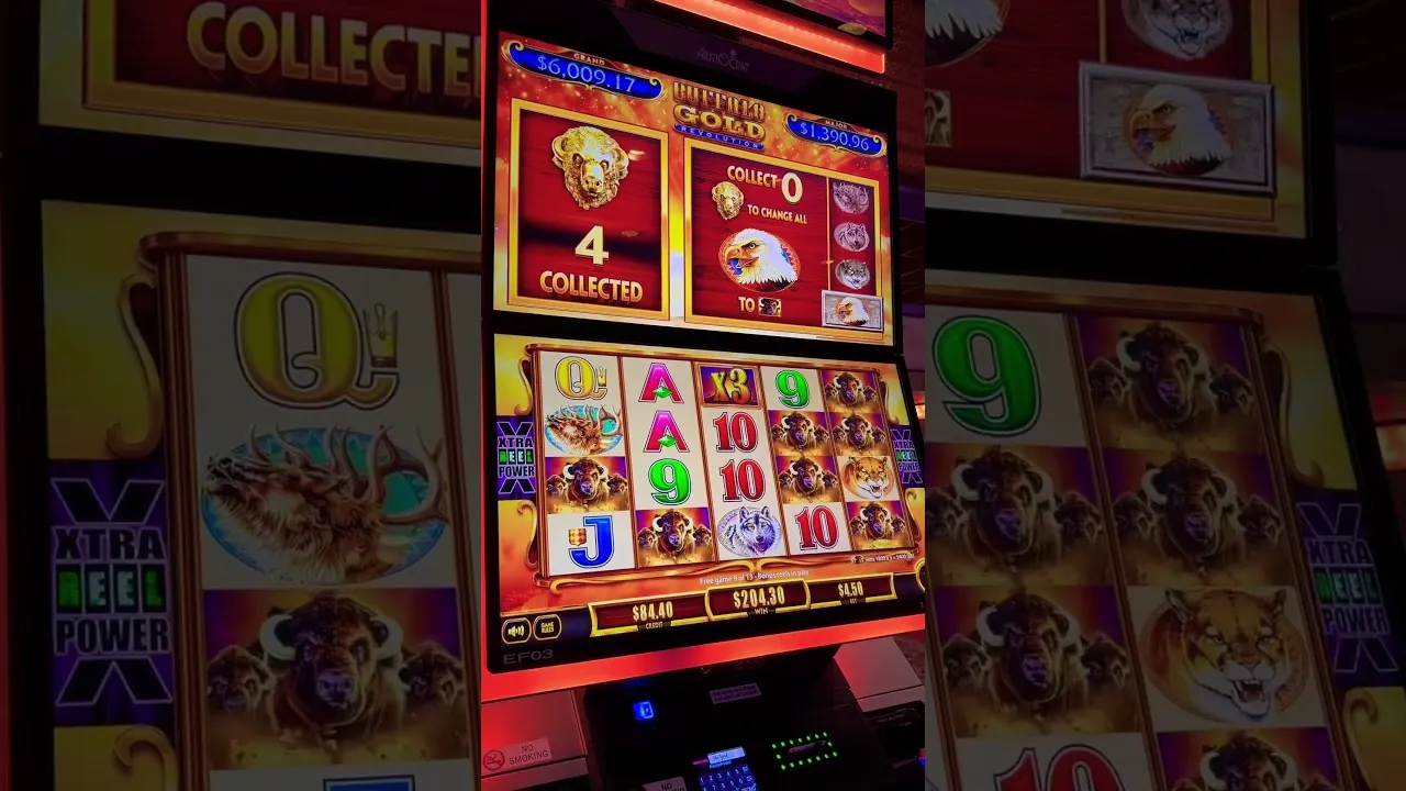 Buffalo Gold Jackpot Big Win: 54,030 Credits Earned