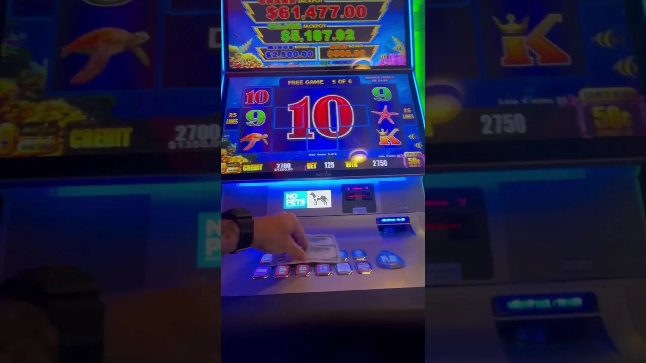 Lightning Cash 67x Big Win: Player Lands Bonus