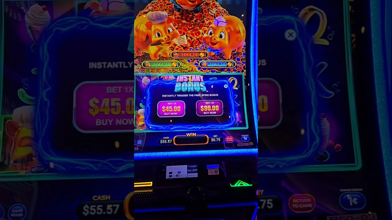 Rakin Bacon Free Spins Buy: A 1.23x Return Clip