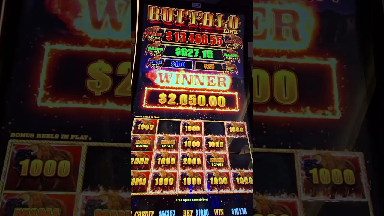 Buffalo Link Free Spins 230x A Massive Win