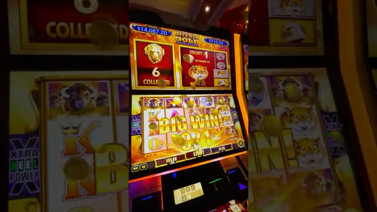 Buffalo Gold 50x Jackpot Big Win: Gold Heads Payout